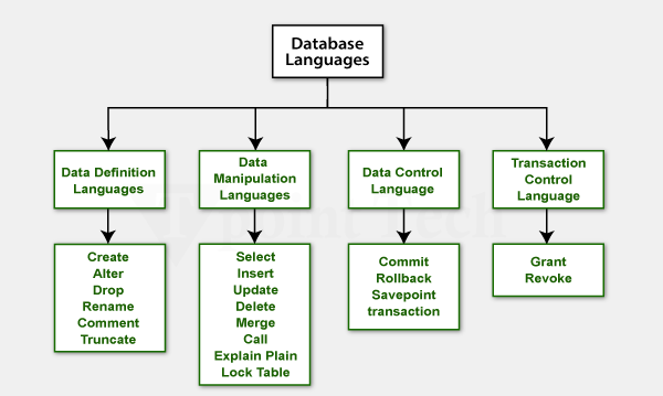 DBMS Languages Overview