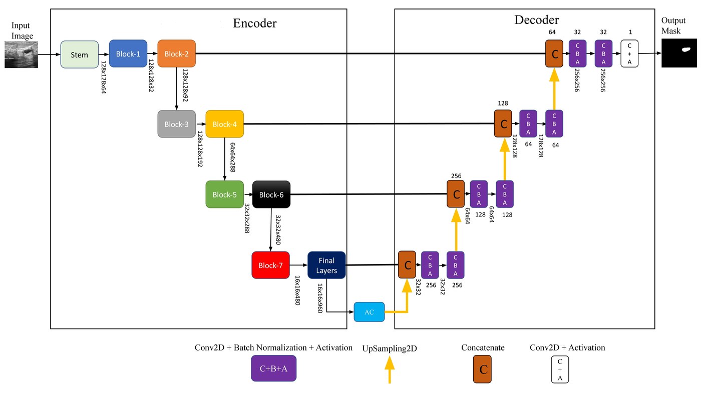 Architecture diagram — EfficientU-Net: A Novel Deep Learning Method for Breast Tumor Segmentation and Classification in Ultrasound Images
