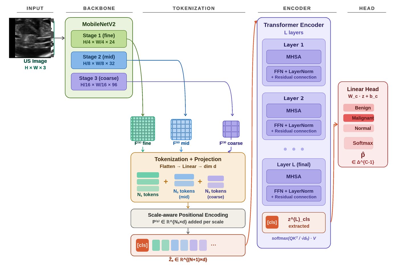 Architecture diagram — MSCT-Trans: A Multi-scale Convolutional Neural Network Token Transformer for Interpretable Ultrasound Image Classification